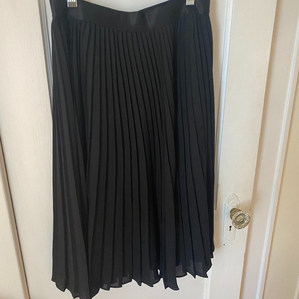 Express high waisted pleated skirt